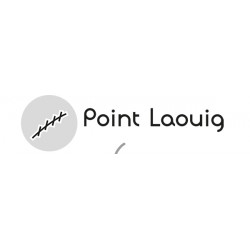 point laouïg