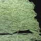 charlotte limme green 13° 15884